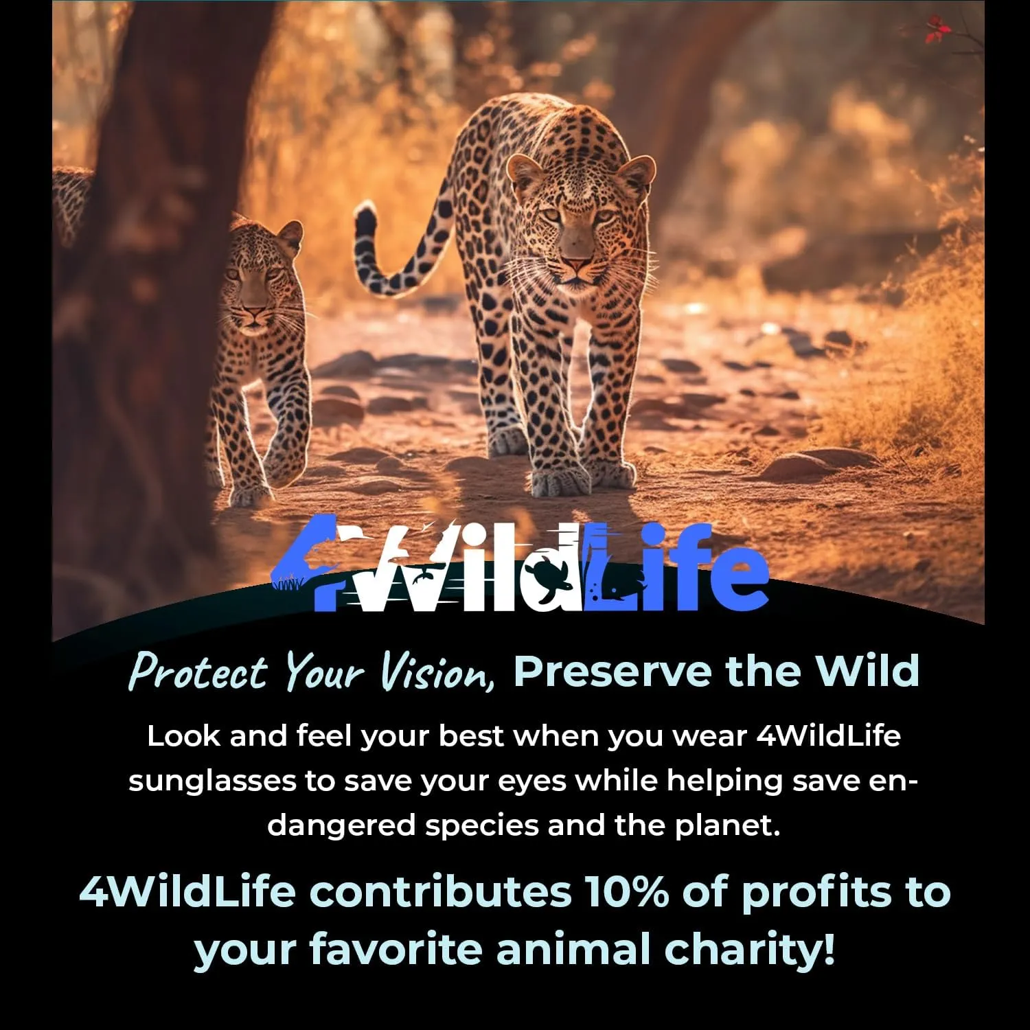 WildLife Themed Sunglasses to Save Animals
